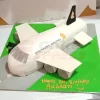 Singapore Airlines Airplane Cake
