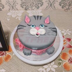 Pussy Cat Face Fondant Cake