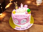 welcome-little-princess-cake